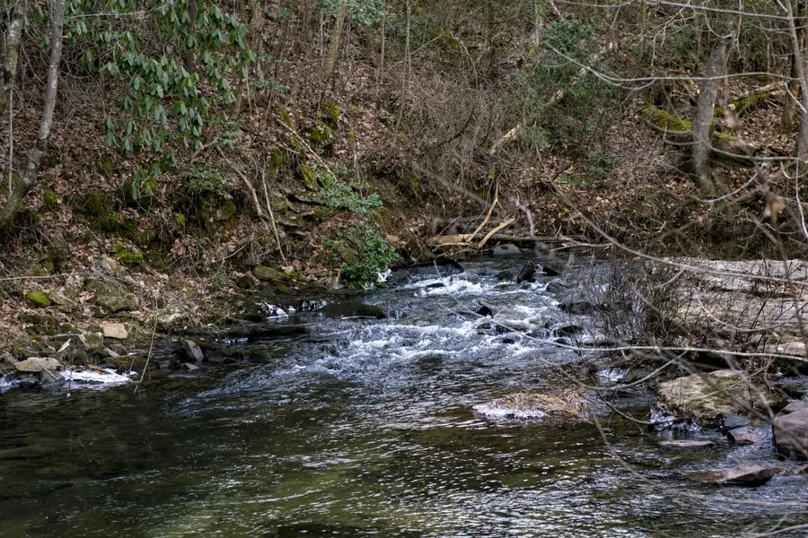 353 Rock Creek Road, Lookout Mountain, GA 30750 - #2