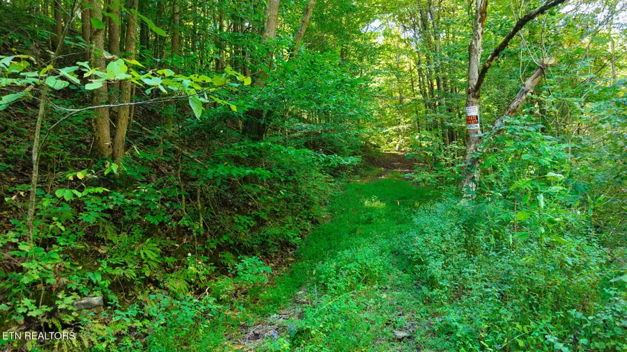 1 Conner Rd, Powell, TN 37849 - #2