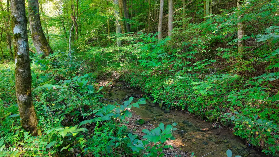 2 Conner Rd, Powell, TN 37849 - #3