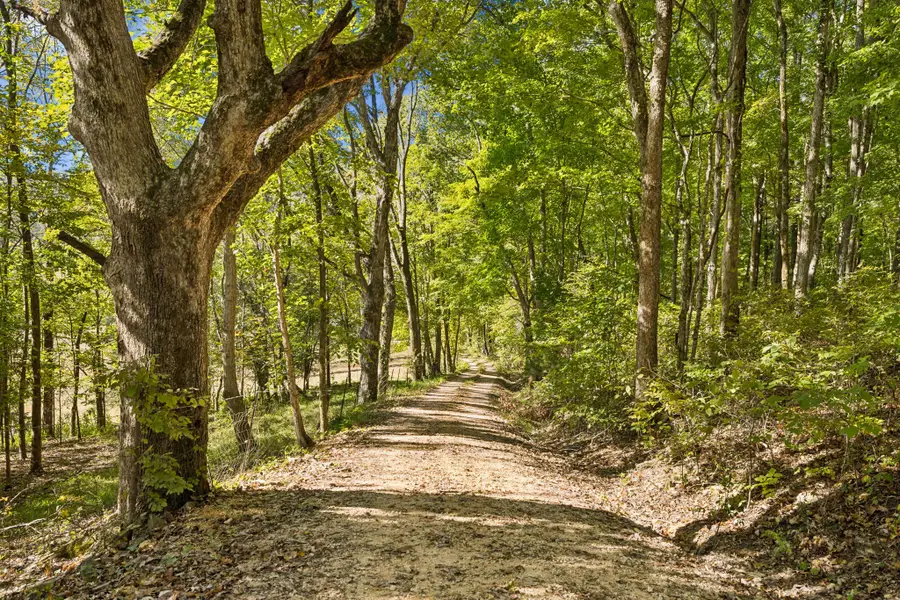 4704 Allen Harlan Rd, Hampshire, TN 38461 - #3