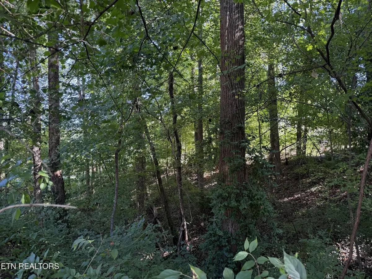 0 Flint Rd, Knoxville, TN 37921 - #1