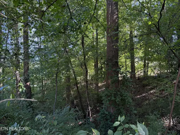 0 Flint Rd, Knoxville, TN 37921