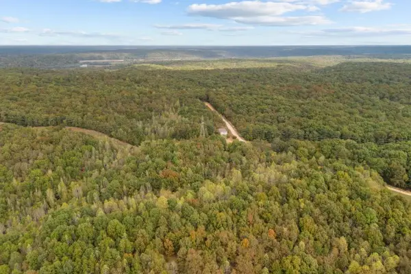 2294 Dogwood Rd, Hurricane Mills, TN 37078 - #2