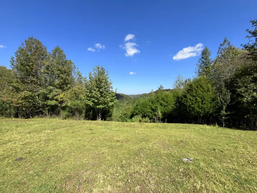 2161 Terrapin Branch Rd, Mount Pleasant, TN 38474 - #3