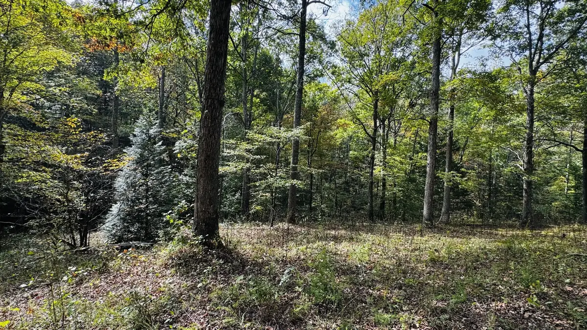0 Brown Ln, White Bluff, TN 37187 - #1