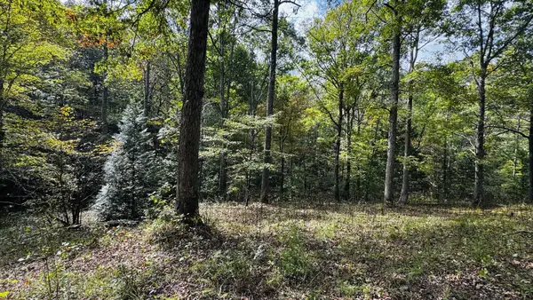 0 Brown Ln, White Bluff, TN 37187