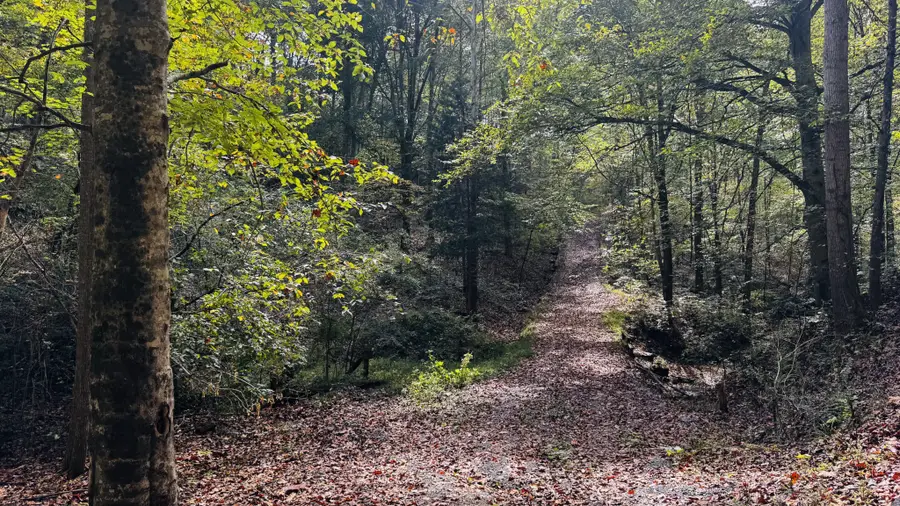 0 Brown Ln, White Bluff, TN 37187 - #2