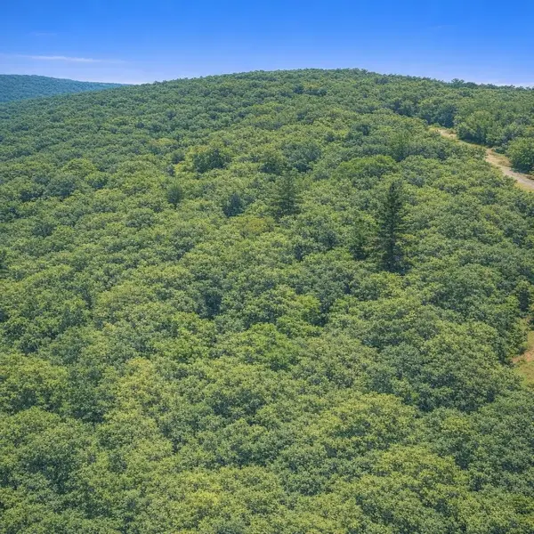 1 Topside Drive, Spencer, TN 38585