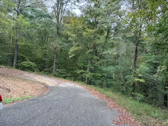 0 Greenwood St, Camden, TN 38320 - #3