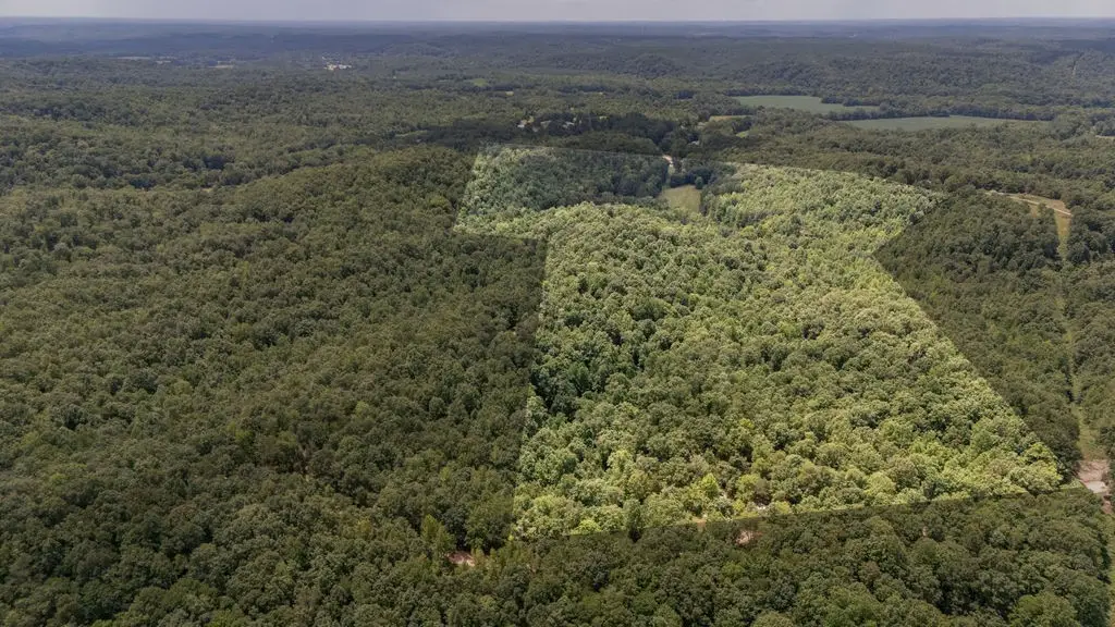0 Copperhead Ln, Olivehill, TN 38475 - #1