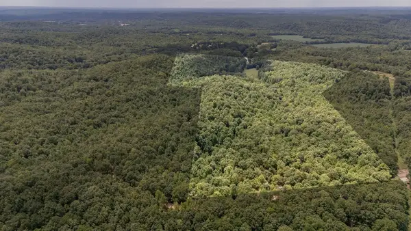0 Copperhead Ln, Olivehill, TN 38475