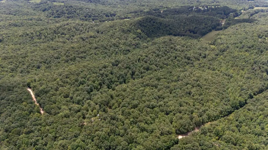 0 Copperhead Ln, Olivehill, TN 38475 - #2