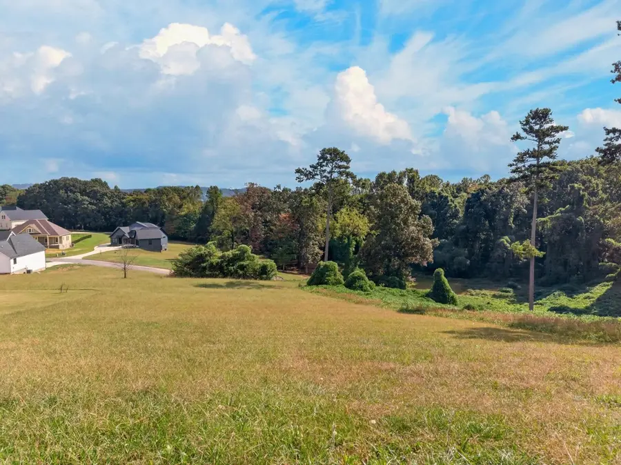 0 Cow Poke Lane, Rutledge, TN 37861 - #3