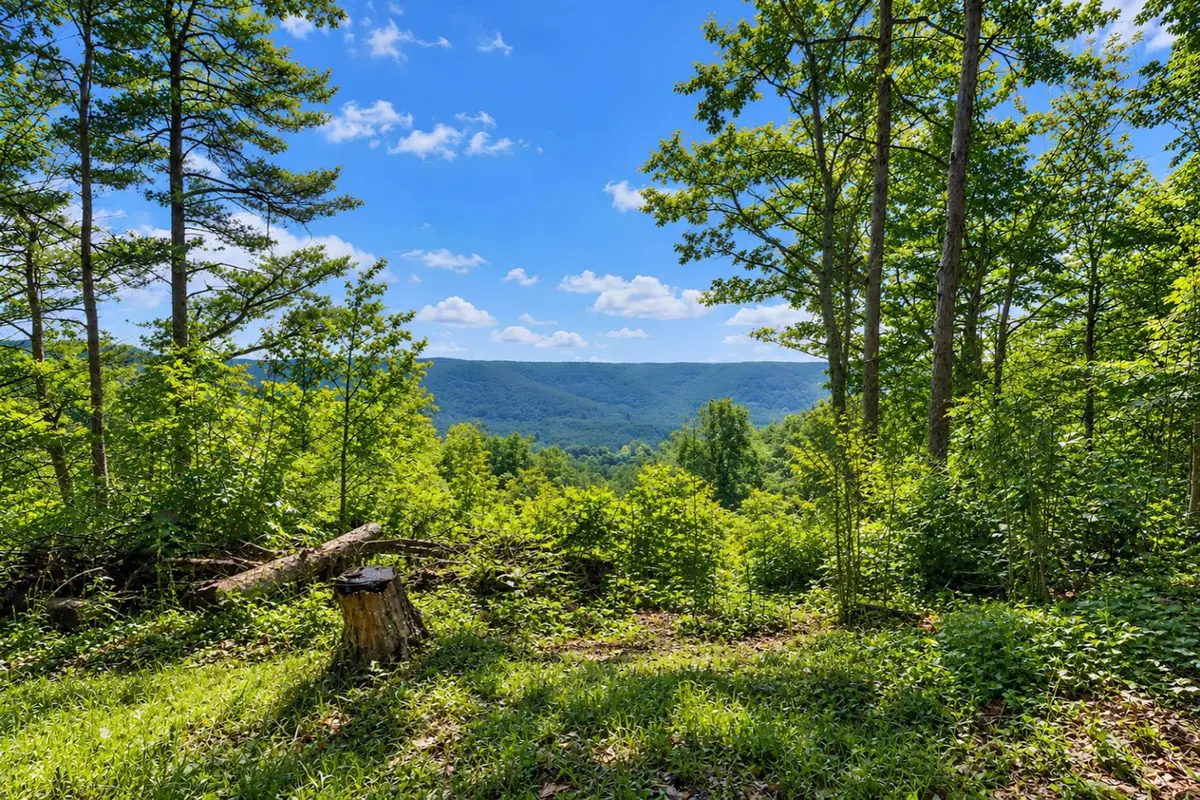 1309 Wind Rush Way, Monterey, TN 38574 - #1