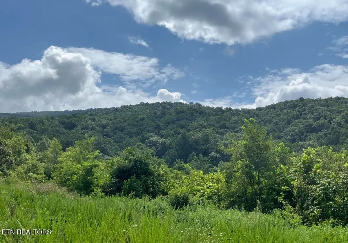 442 Billingsley Rd, Dunlap, TN 37327 - #1