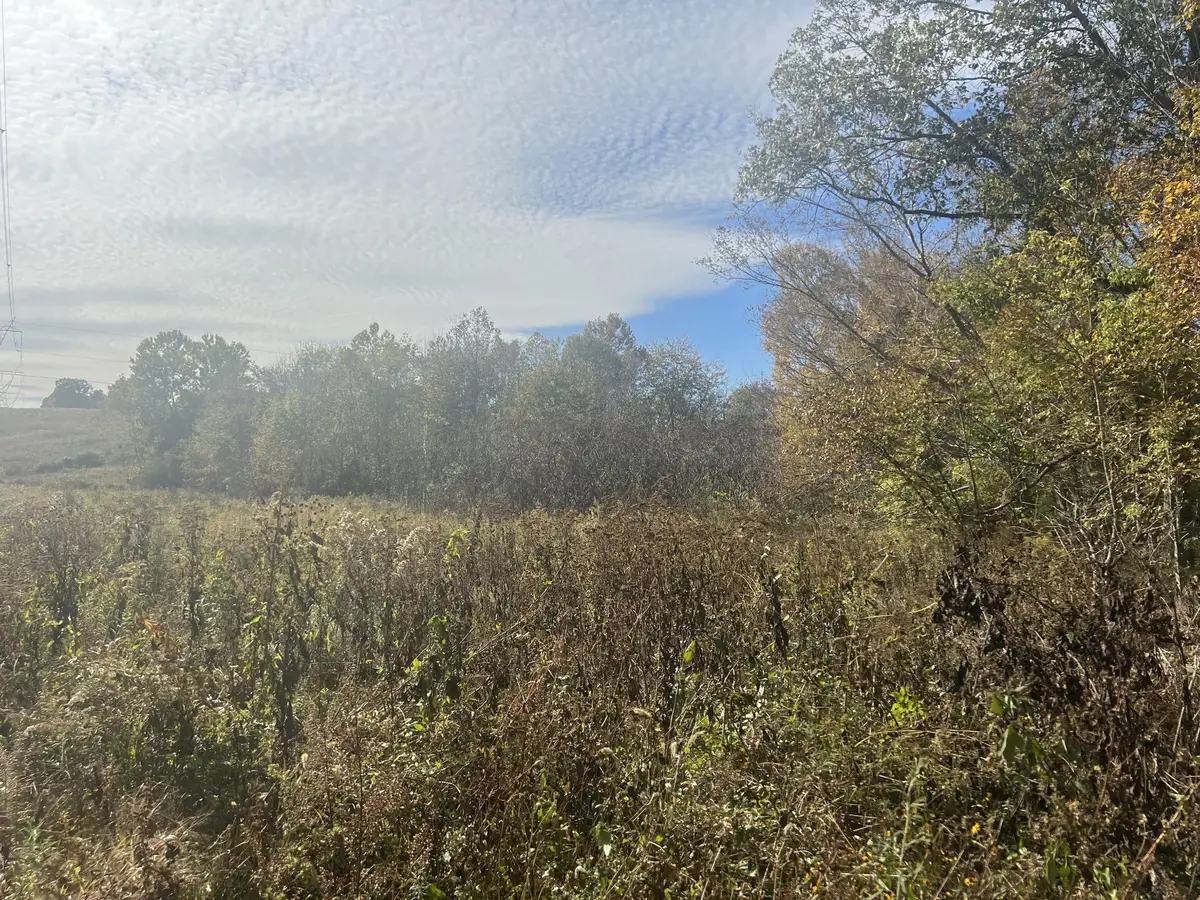 6 Clyde Webb, Tennessee Ridge, TN 37178 - #1