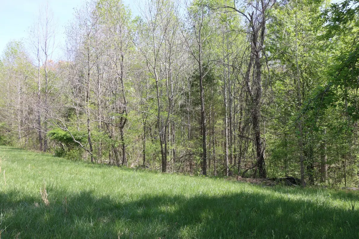 820 New Rd, Clarksville, TN 37040 - #1