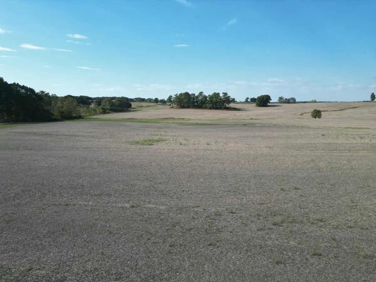 0 Longsought Rd, Wildersville, TN 38388 - #1