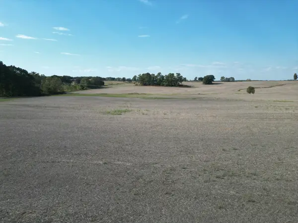 0 Longsought Rd, Wildersville, TN 38388