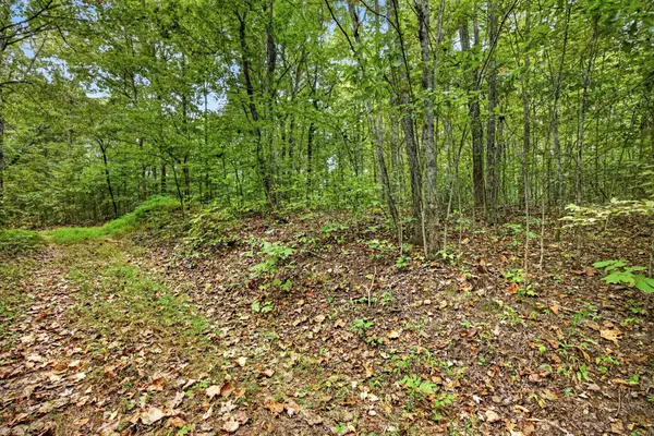 0 Colepin Lane, Celina, TN 38551