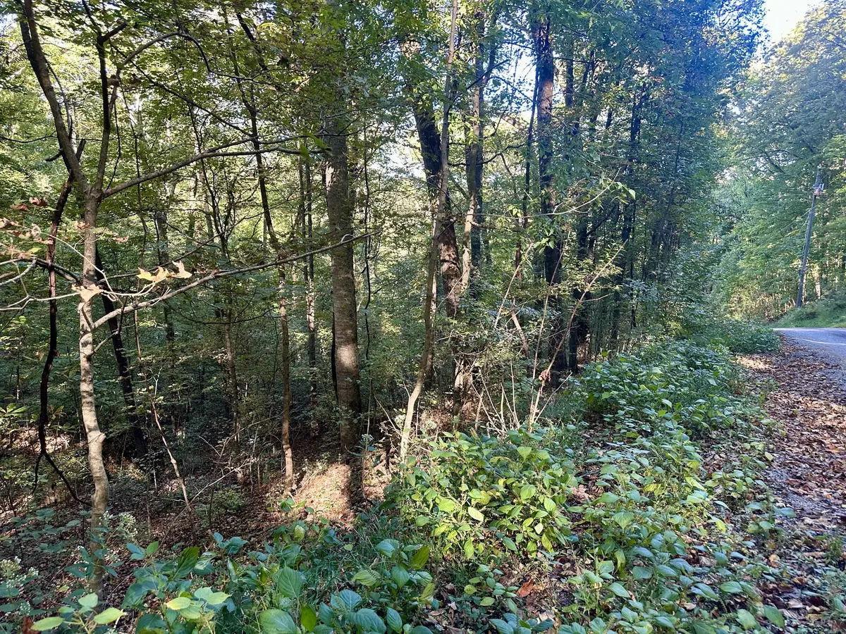 0 Lakeside Dr, Smithville, TN 37166 - #1
