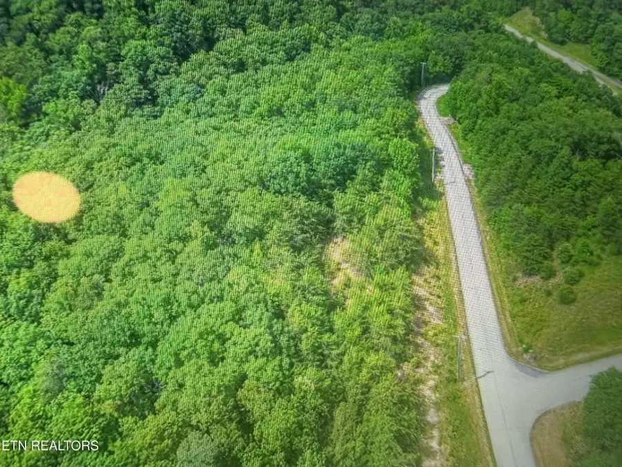 0 Crystal Springs Rd, Rockwood, TN 37854 - #2