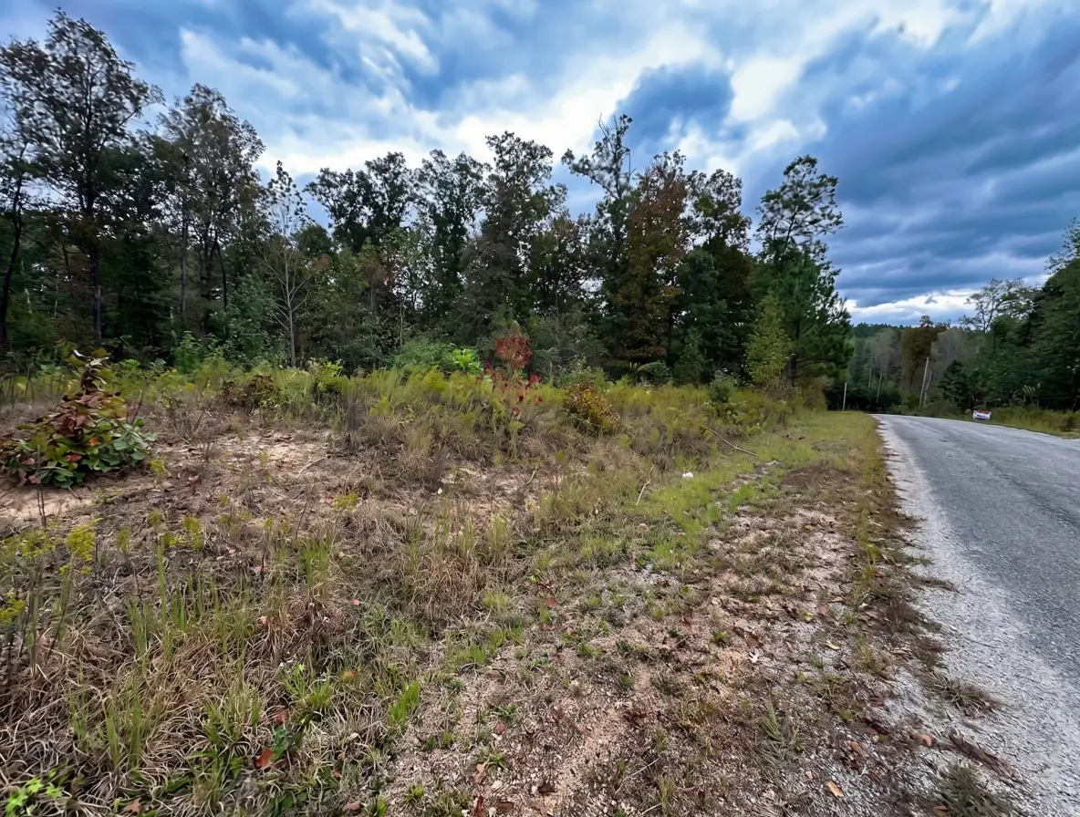 0 Libby Circle, Lexington, TN 38351 - #1