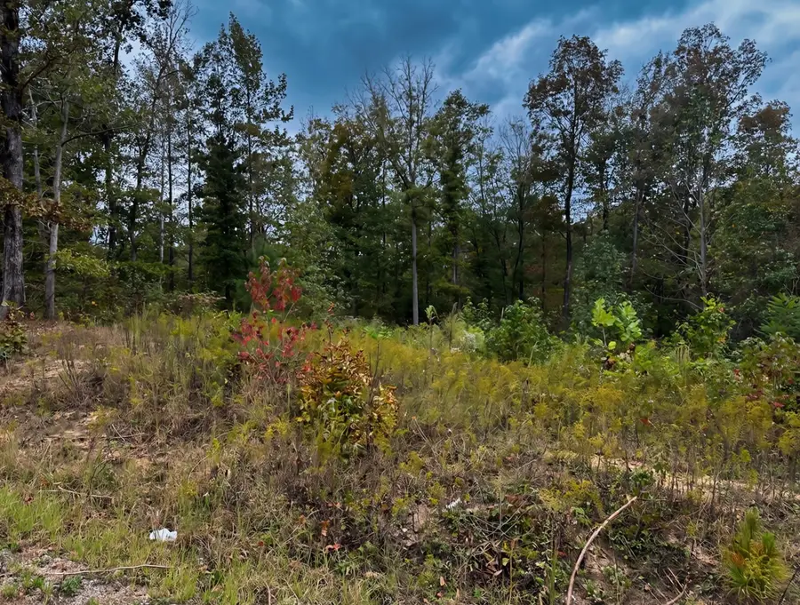 0 Libby Circle, Lexington, TN 38351 - #3