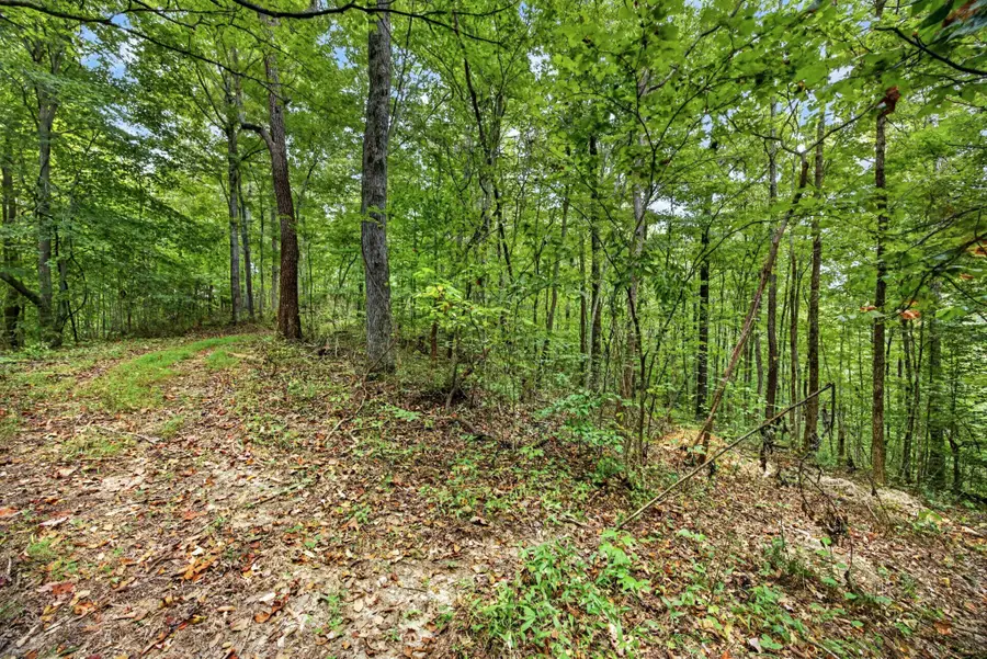 0 Timber Ridge Lane, Celina, TN 38551 - #3