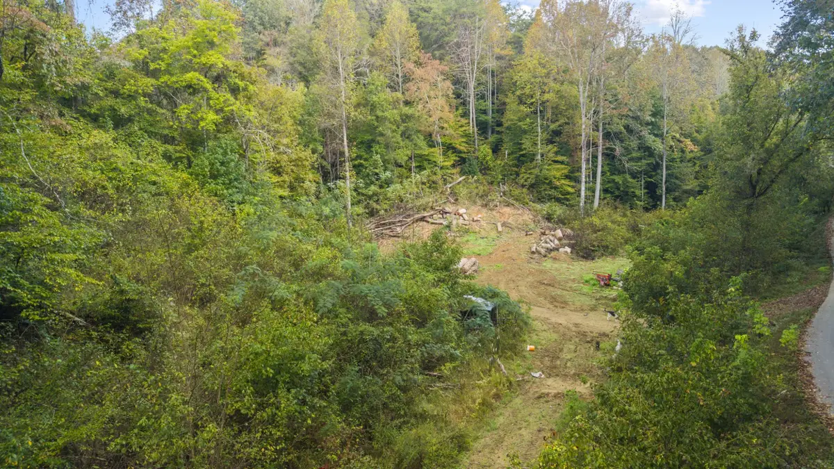 0 Long Branch Rd, Seymour, TN 37865 - #1