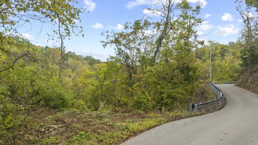 0 Long Branch Rd, Seymour, TN 37865 - #2