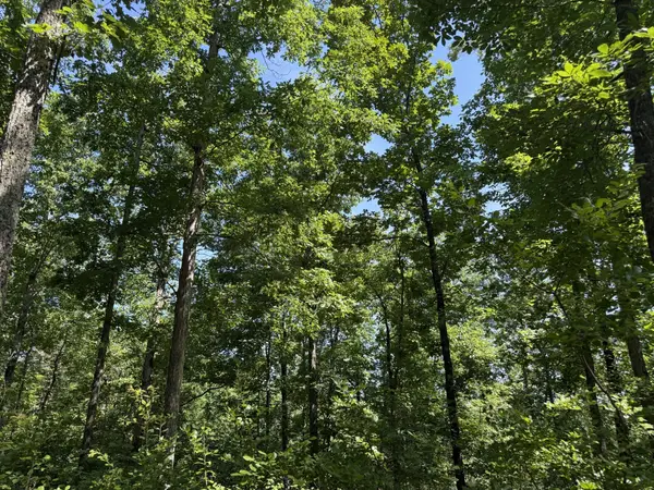 0A Black Bear Rd, Linden, TN 37096