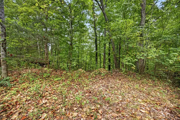0 Timber Ridge Lane, Celina, TN 38551
