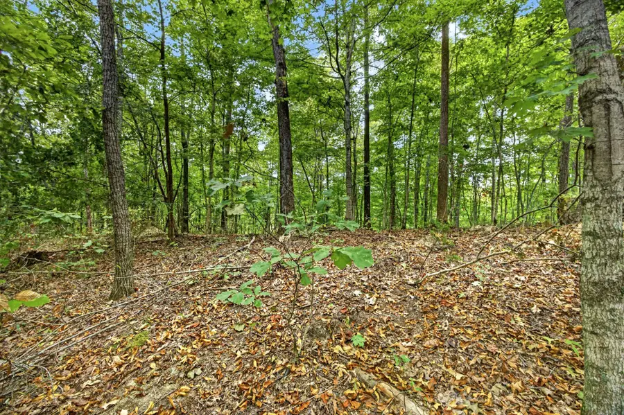0 Timber Ridge Lane, Celina, TN 38551 - #2
