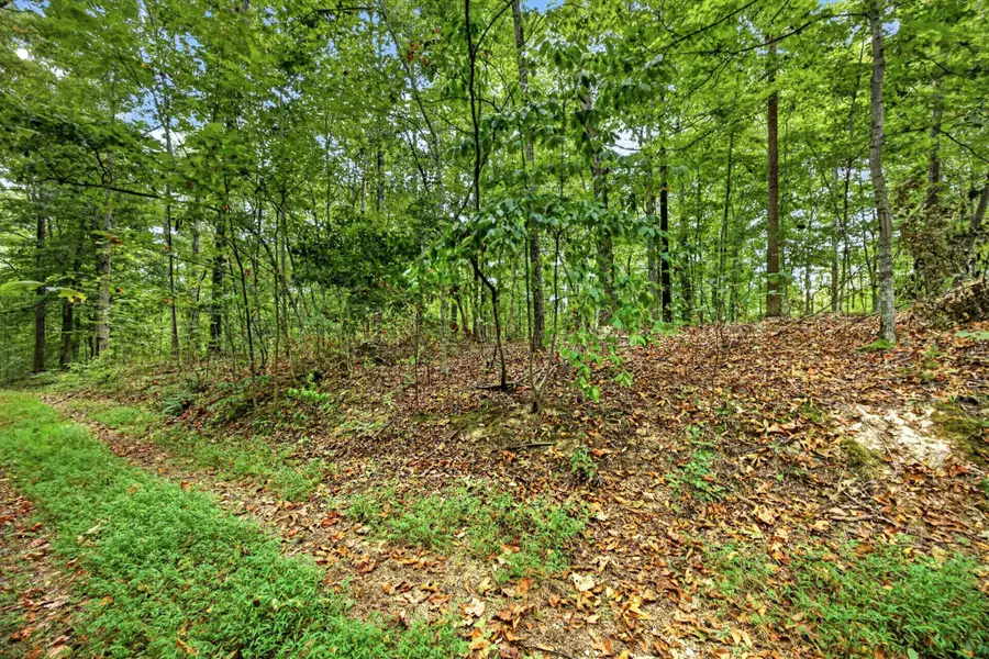 0 Timber Ridge Lane, Celina, TN 38551 - #3