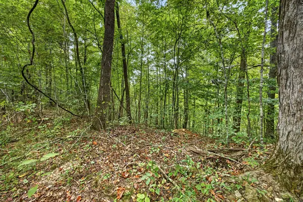0 Timber Ridge Lane, Celina, TN 38551