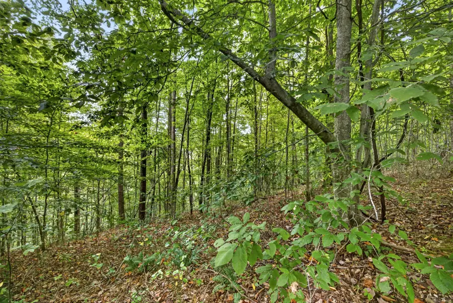 0 Timber Ridge Lane, Celina, TN 38551 - #3