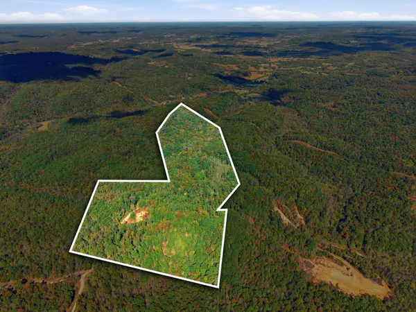 0 Baptist Branch Rd, Mount Pleasant, TN 38474