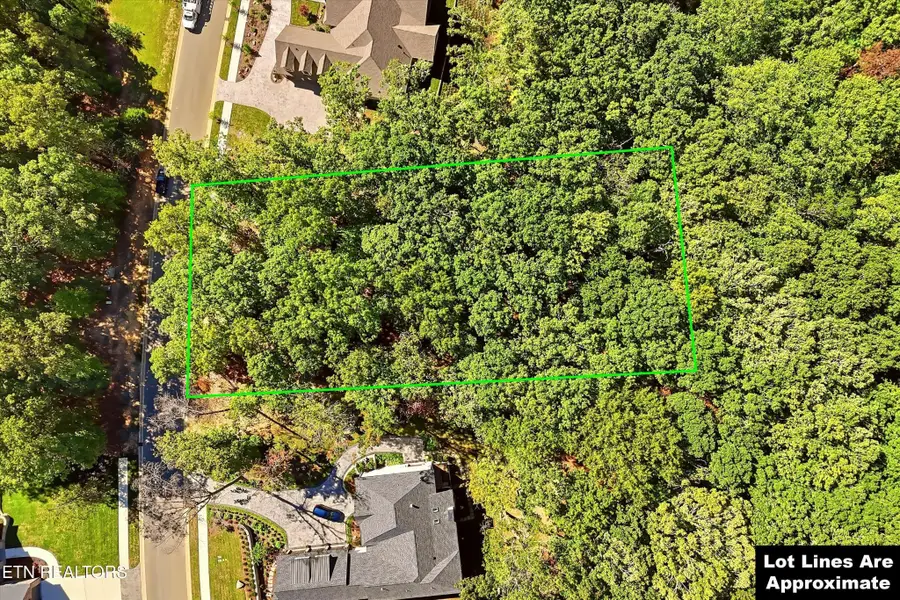 1649 Old Dogwood Trail Tr, Loudon, TN 37774 - #3