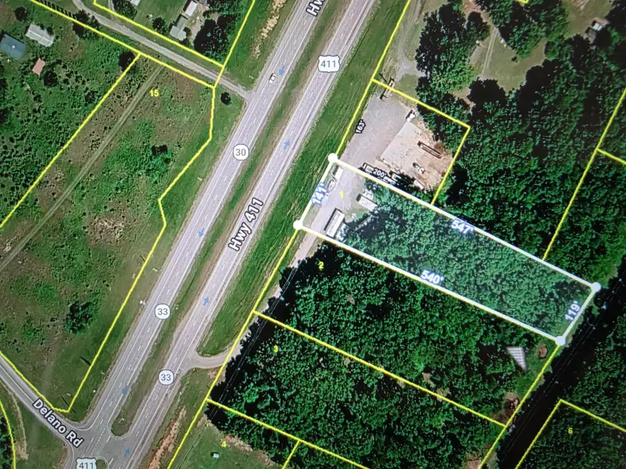 9222 Us 411, Delano, TN 37325 - #3