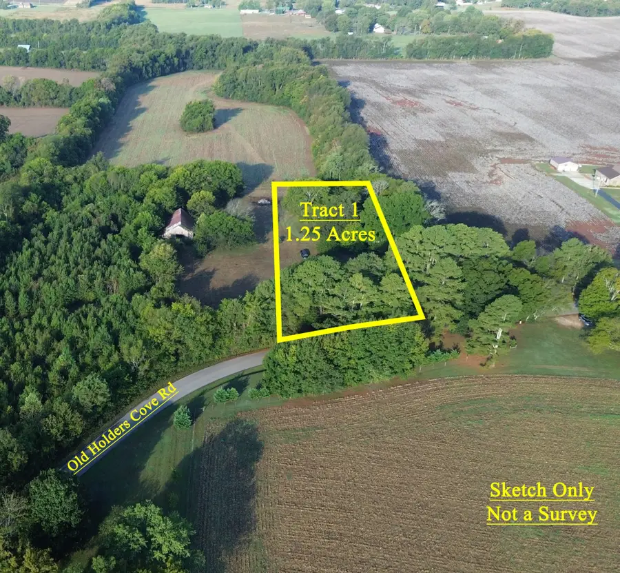 292 Old Holders Cove Rd, Winchester, TN 37398 - #3