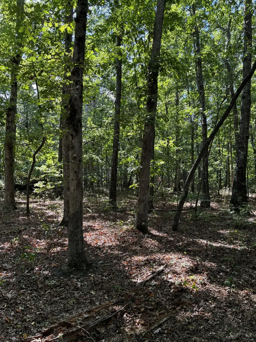 0 Deepwoods Rd, Sewanee, TN 37375 - #2