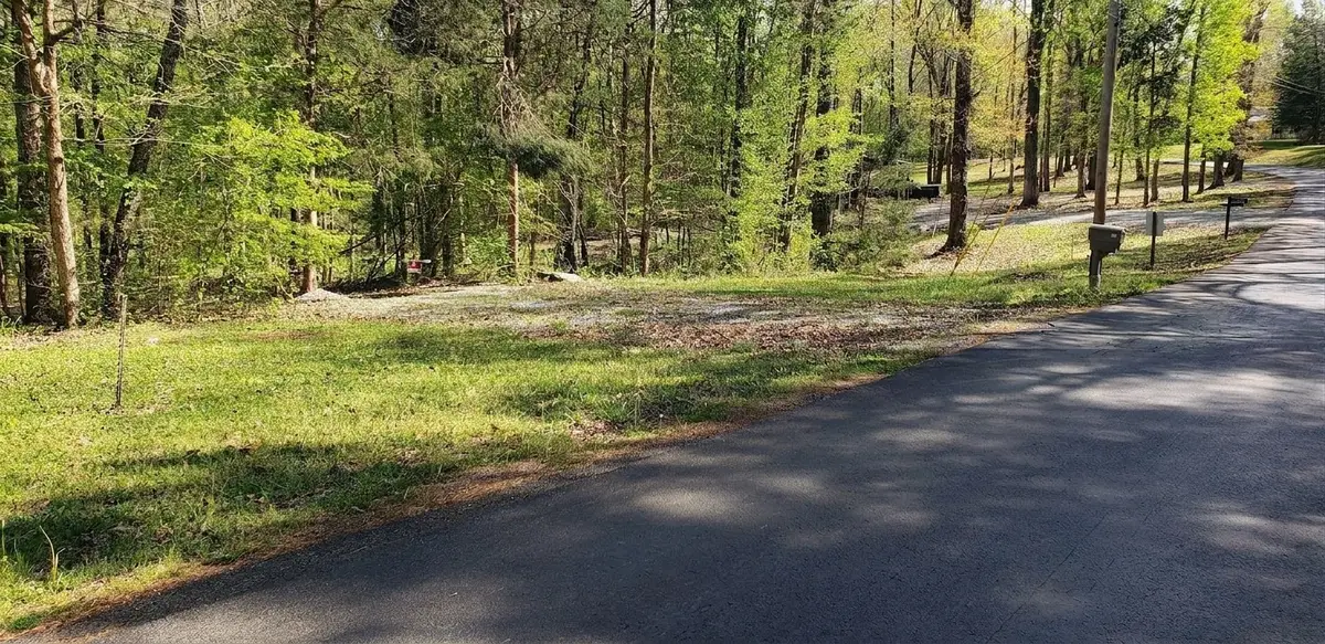 113 Beechview Rd, Clifton, TN 38425 - #1