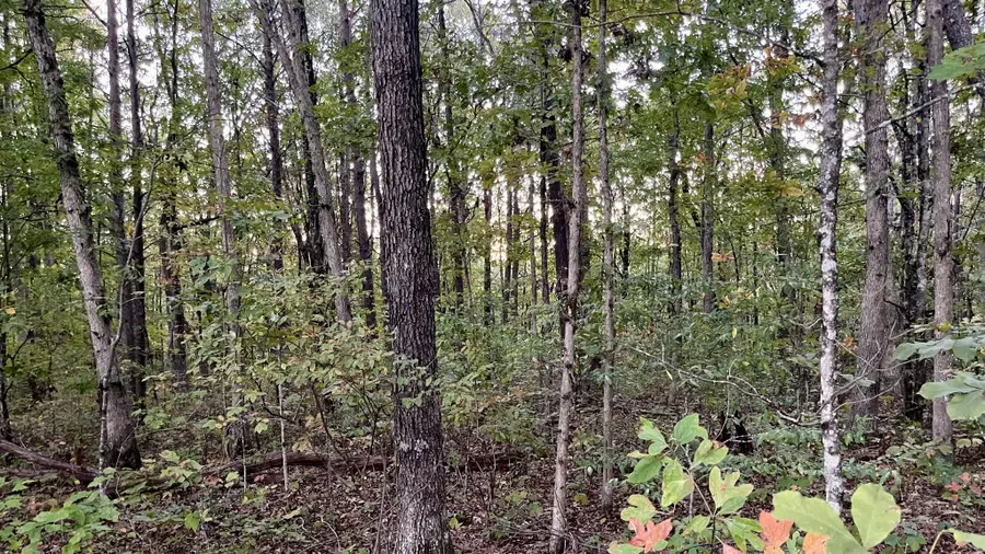 600 Running Deer Road, Crab Orchard, TN 37723 - #2