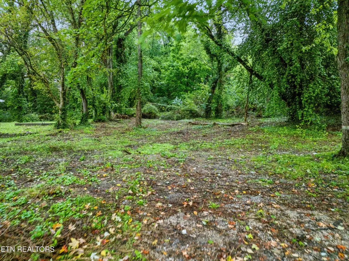 3109 Landview Drive, Knoxville, TN 37914 - #1