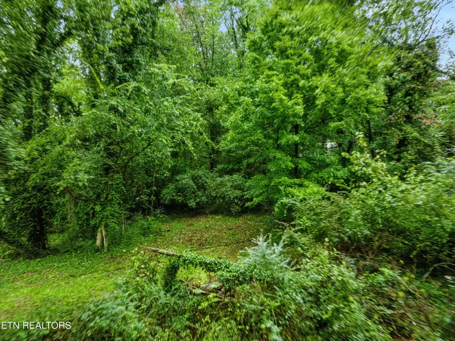 3109 Landview Drive, Knoxville, TN 37914 - #3