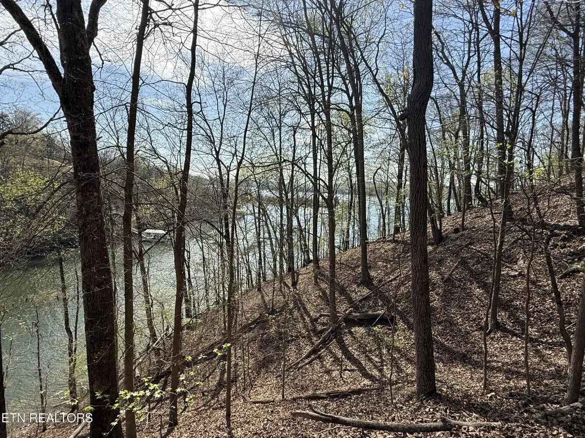 39 Eerie Point, Rockwood, TN 37854 - #1