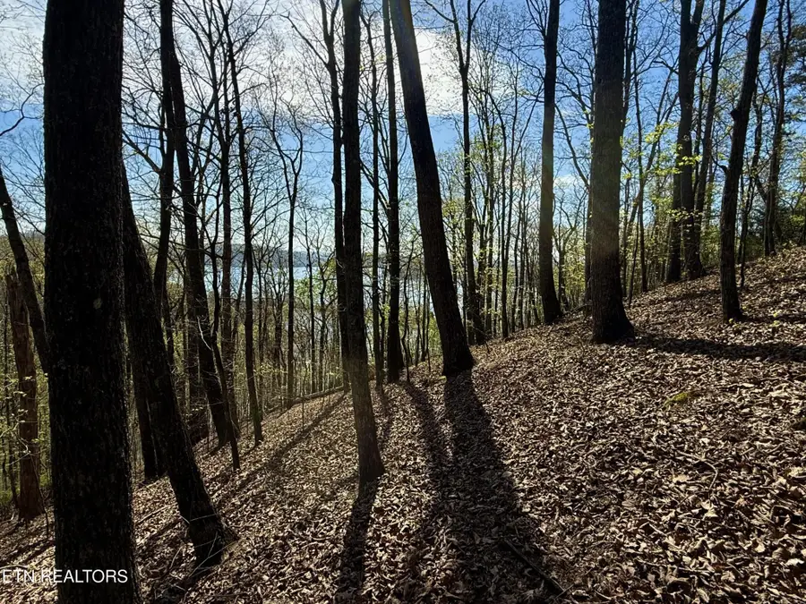 39 Eerie Point, Rockwood, TN 37854 - #3