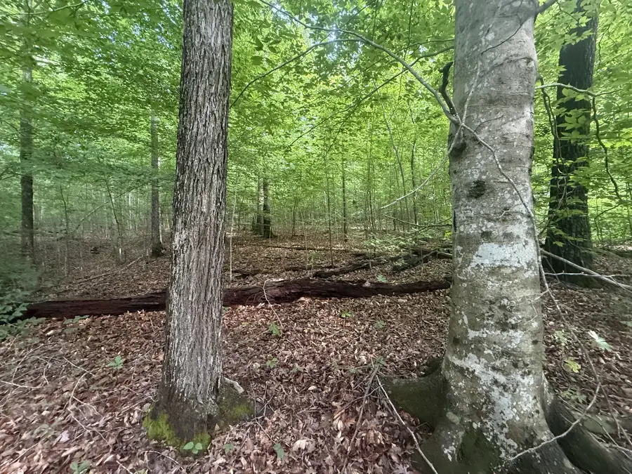 0 Caney Branch Rd, Stewart, TN 37175 - #3