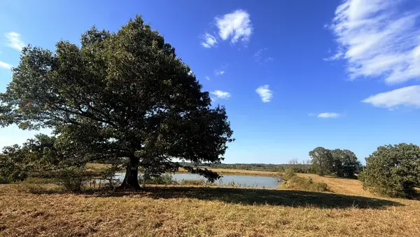 0 Essary Rd, Wildersville, TN 38388